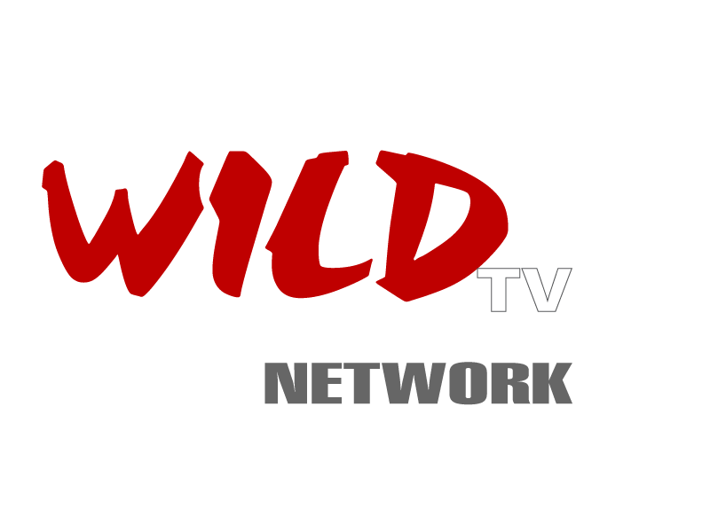 Wild TV and the Cult Movie Network Announce New Deal with IP Vision ...