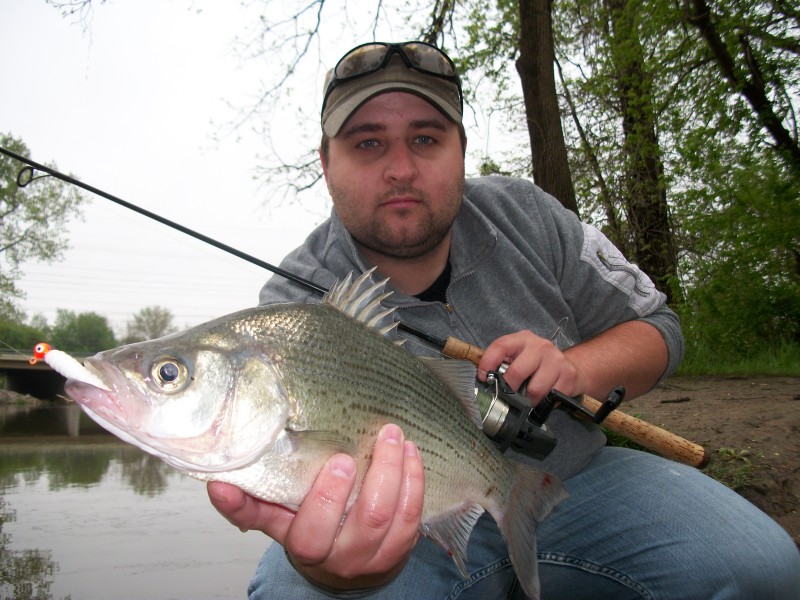 white bass lures