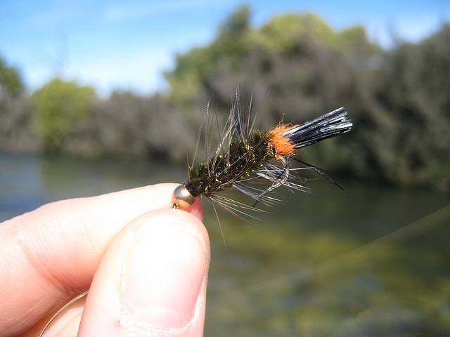 Fly Fishing: The Woolly Bugger Isn't all that, Or is it? - Fly