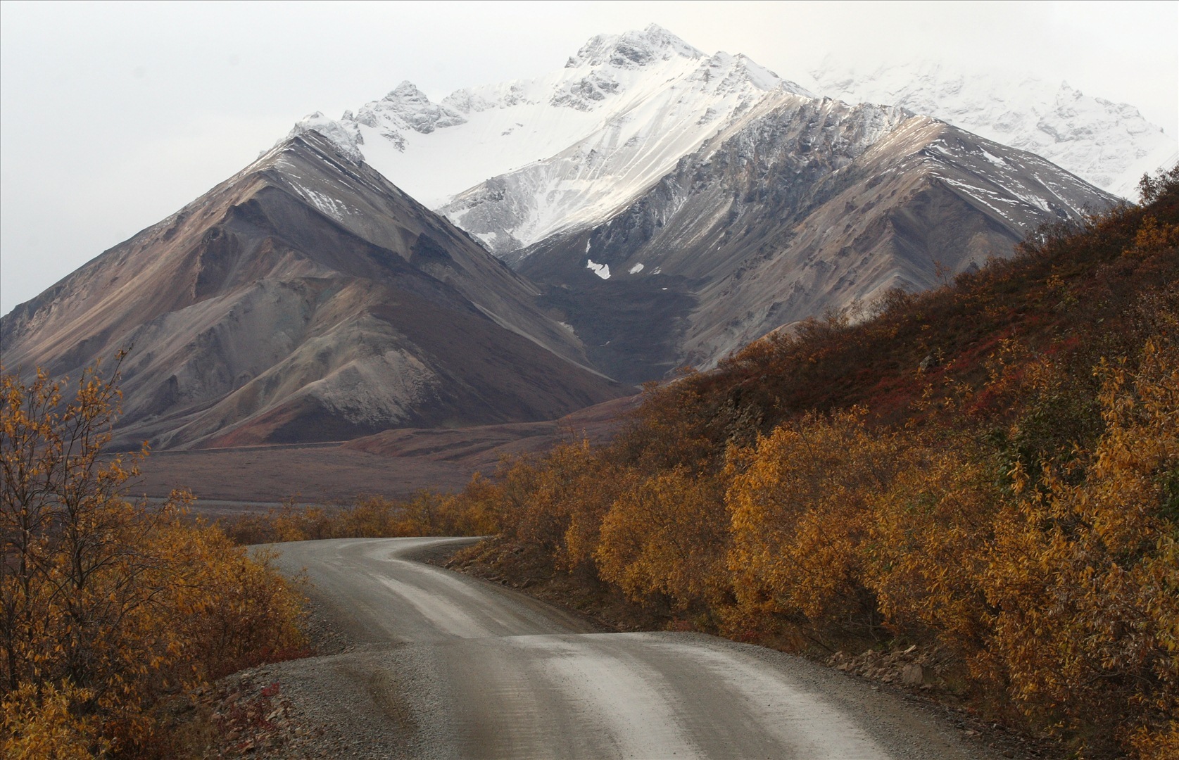 Draft Denali Park Road Vehicle Management Plan and Environmental Impact