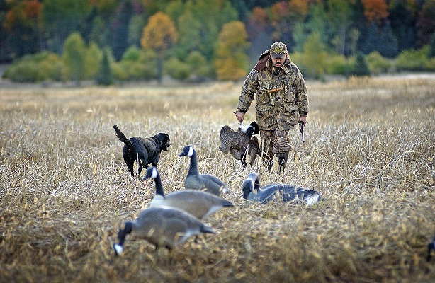 Small Game Hunting Begins Sept. 1 In Michigan | OutdoorHub