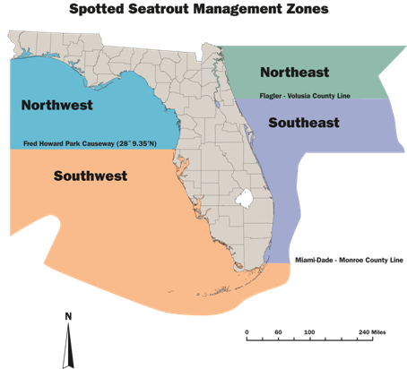 Florida Red Drum and Spotted Seatrout Management Efforts Change Feb. 1 ...