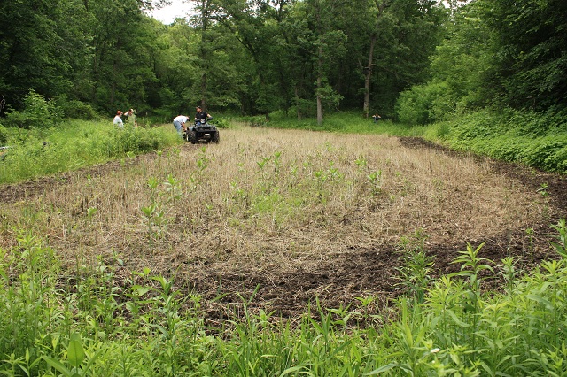 Evolving Your Habitat Food Plot Construction Tips Outdoorhub