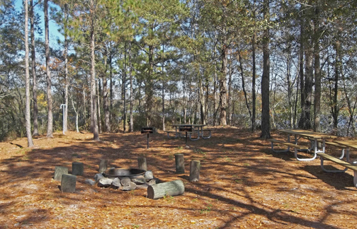 Georgia's Reed Bingham State Park Opens Eagle Island Campsite | OutdoorHub