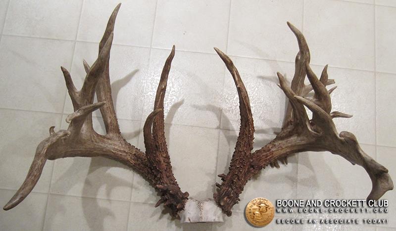non typical whitetail record indiana largest possible score buck biggest bucks harvested whitetails taken deer boone crockett sheet ever outdoorhub