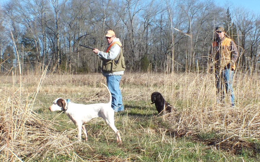 Product Review The Clinton House Plantation and Game Preserve