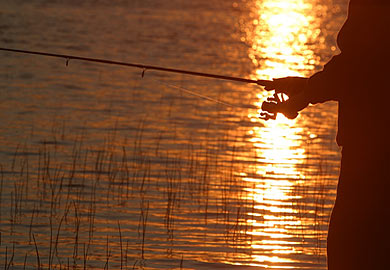 Renew Your State Hunting and Fishing License in South Carolina | OutdoorHub