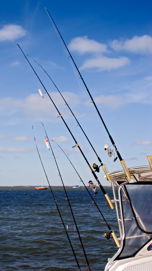 Surviving Seasickness On Your Charter Fishing Trip Outdoorhub