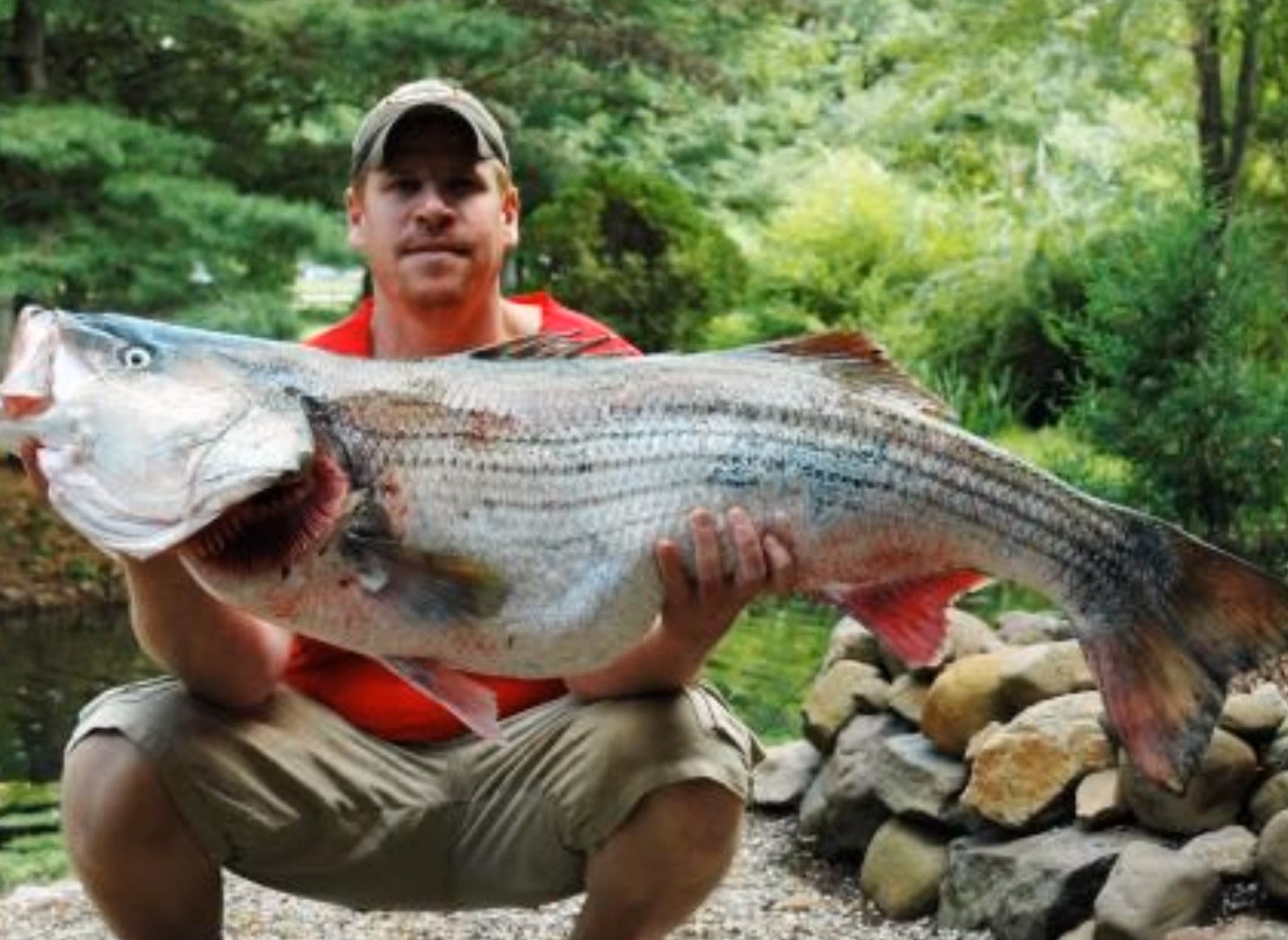 Striped Bass Fisherman Consistently Catches Record-sized Fish | OutdoorHub