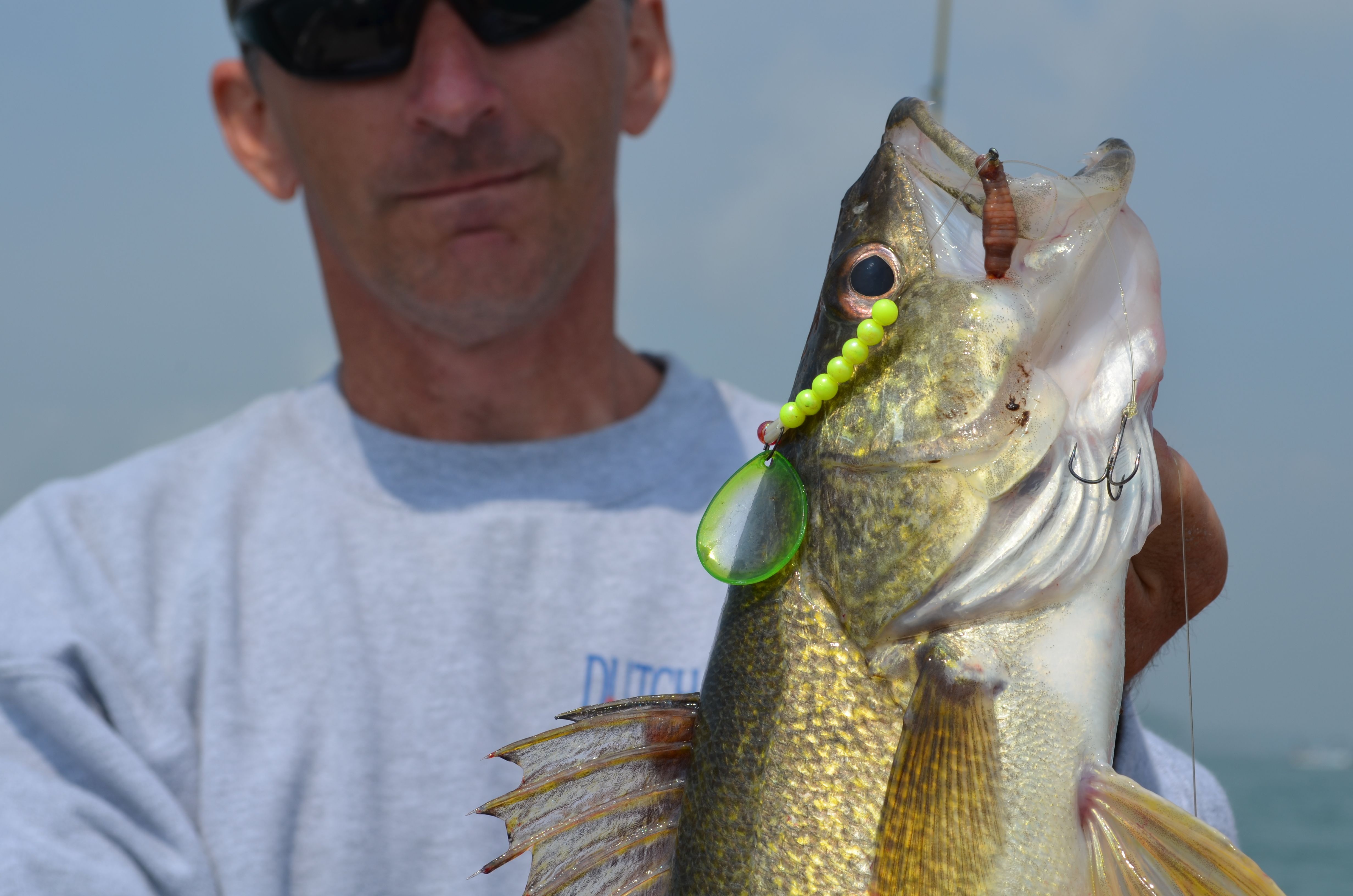 The Top Three Michigan Walleye Summer Bites OutdoorHub