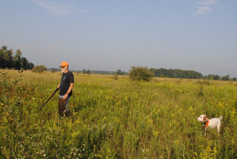 Shooting Preserves Prolong Michigan Upland Hunting Magic OutdoorHub