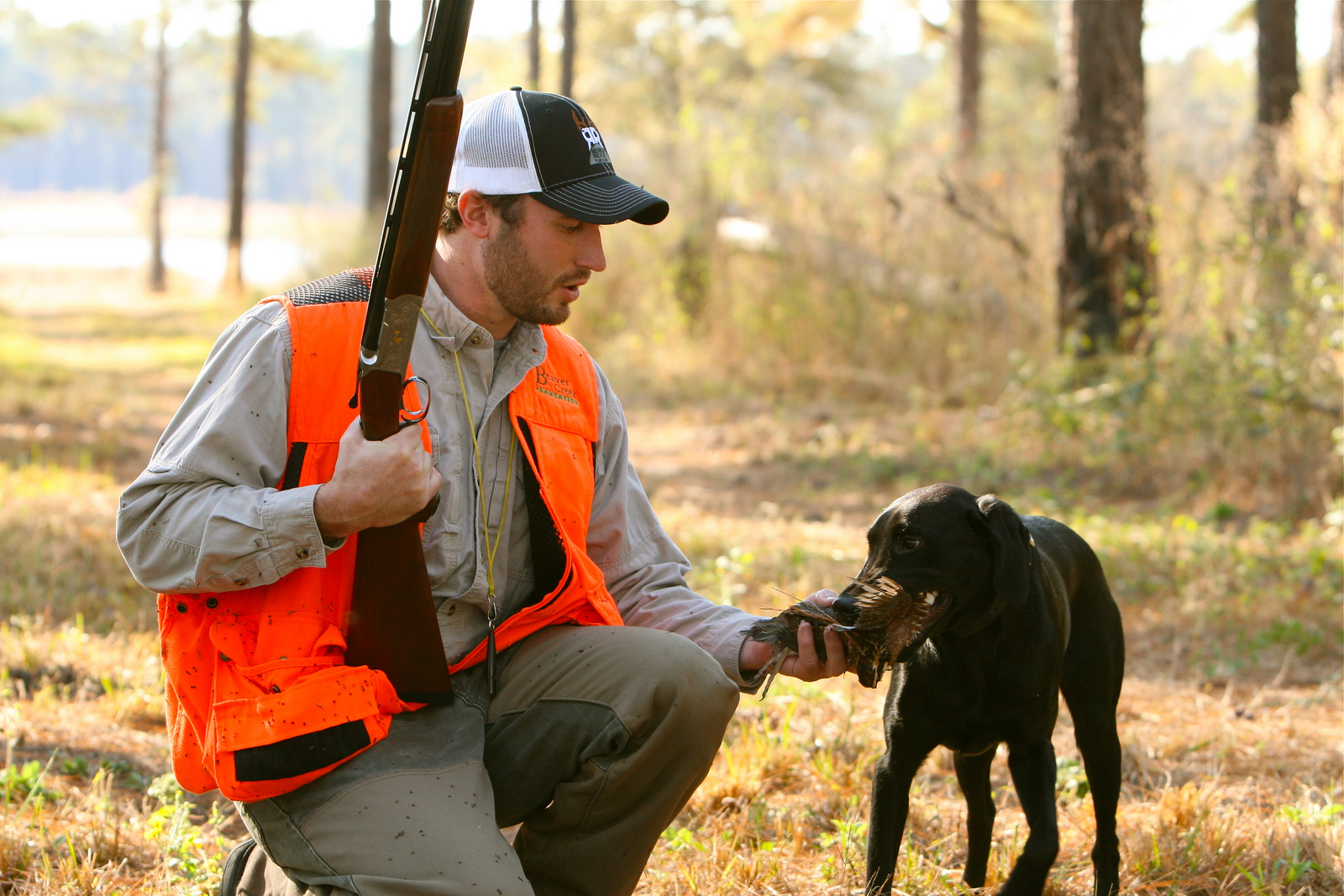 Wyoming Governor Wingshoots in Grand National Quail Hunt | OutdoorHub