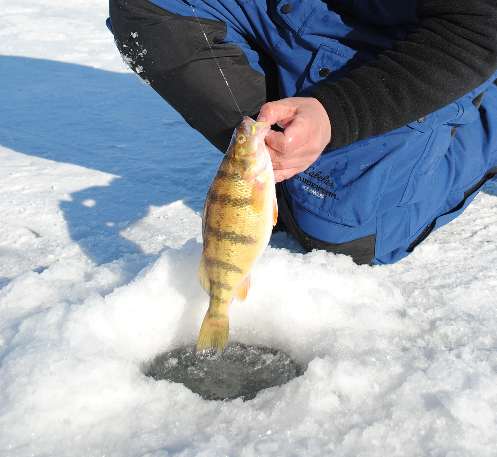 Tips for Midseason Ice Fishing OutdoorHub
