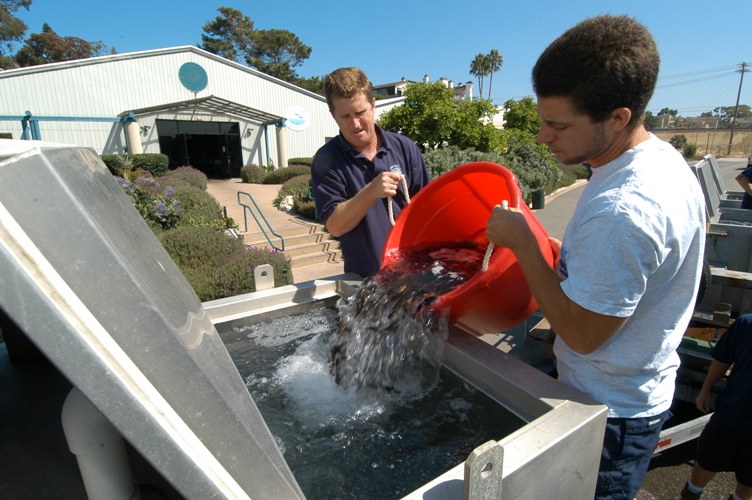 HSWRI Receives Prestigious IGFA Conservation Award for Milestone