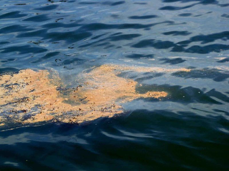 BP Confirms Oil Spill in Lake Michigan | OutdoorHub