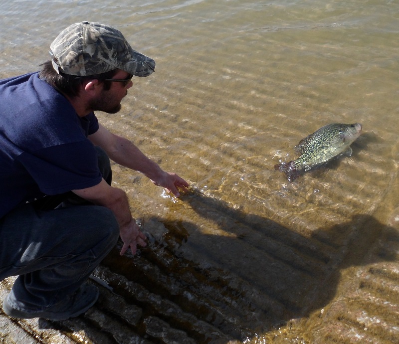 Texas' Lake Texoma Crappie Could Set Multiple Records | OutdoorHub