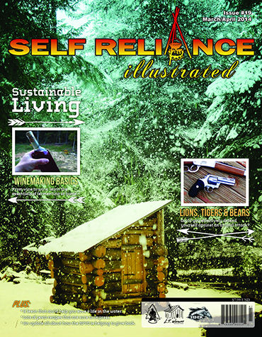 self reliance illustrated pdf download