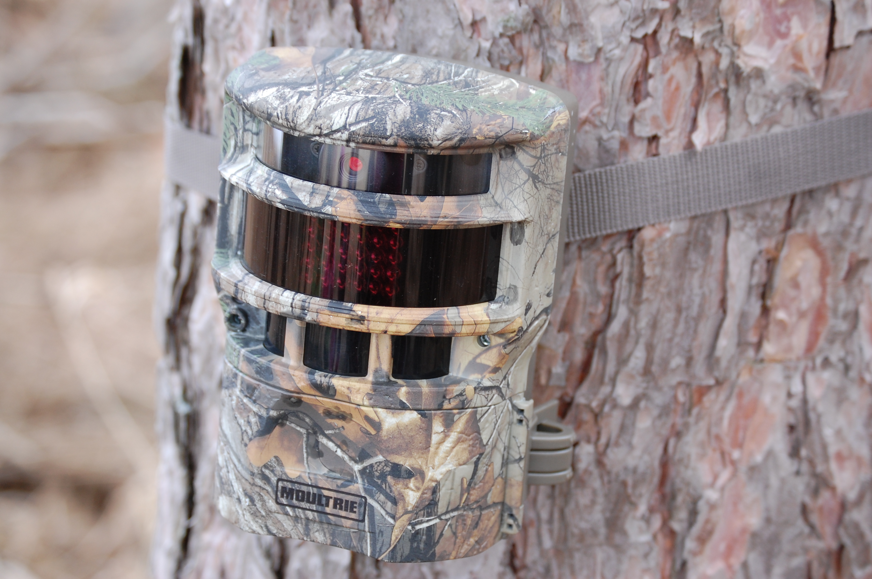 panoramic game camera