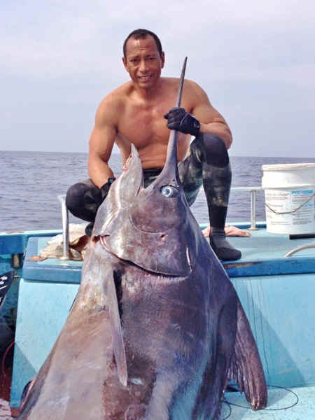 record bluefish