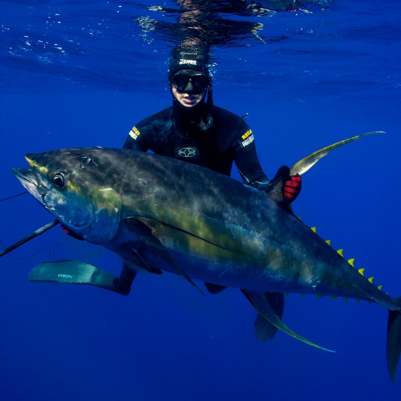 Salt Life's Master Mariner Captain Cameron Kirkconnell Spears a ...