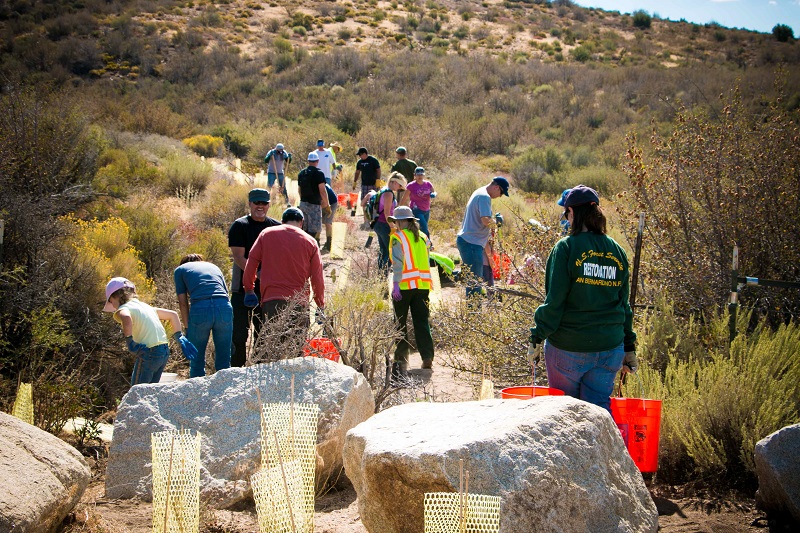 Yamaha Volunteers Log 200 Hours at Southern California’s Coxey Meadows ...