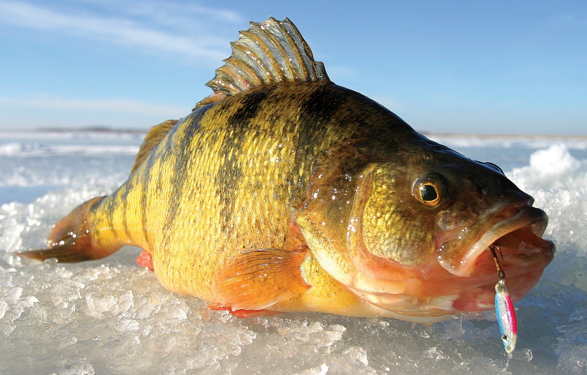 Go Small or Go Home 10 Great Small Lakes for Ice Fishing OutdoorHub