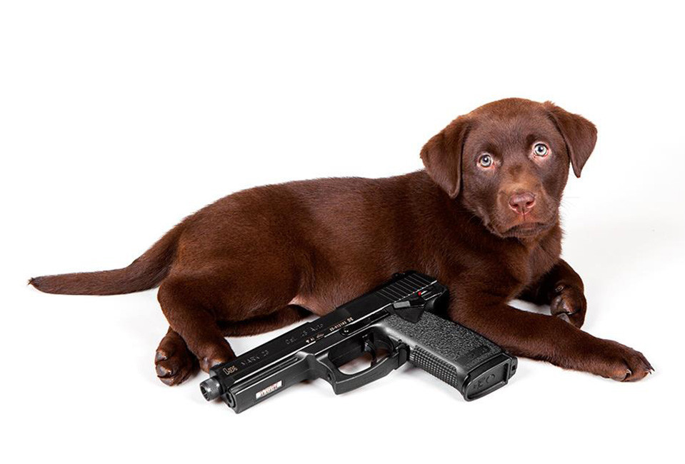 Photos Puppies With Guns Outdoorhub