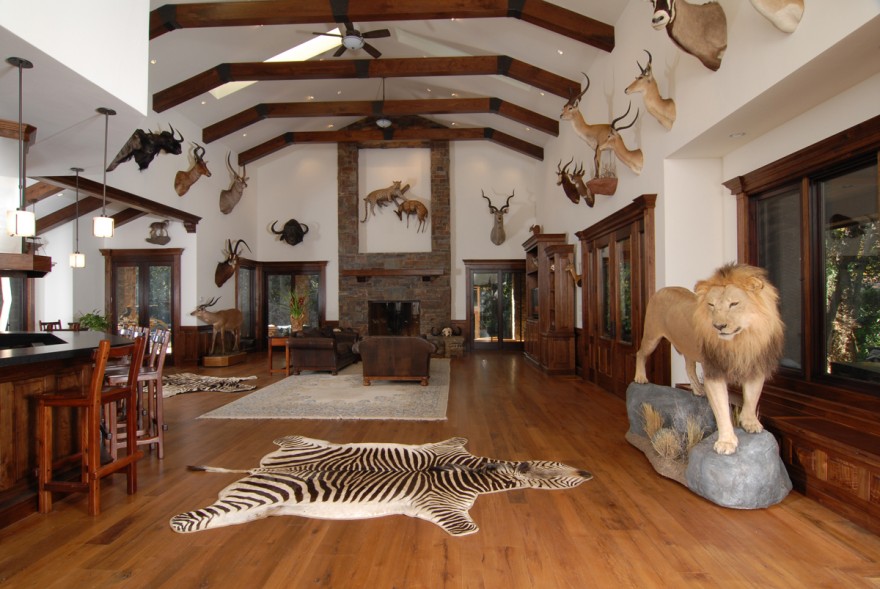 How To Design Your Trophy Room