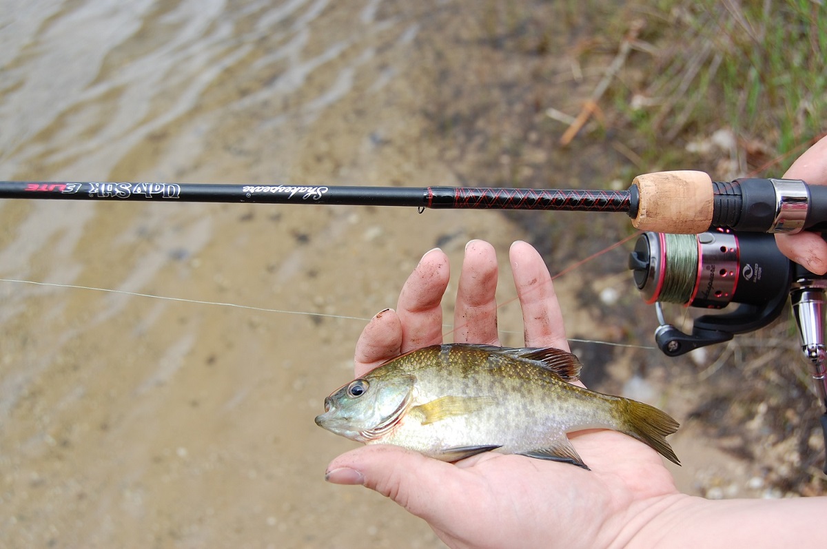 Shakespeare Ugly Stik Carbon Spinning Combo – Fishermans Central