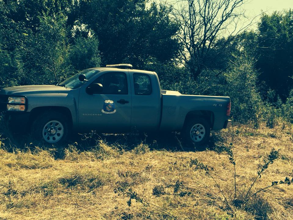 Oklahoma Dove Poachers Arrested In Hunting Blind Made Of Weed Outdoorhub