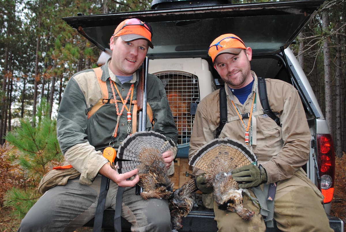 Why Michigan is a Top State for Grouse Hunters OutdoorHub