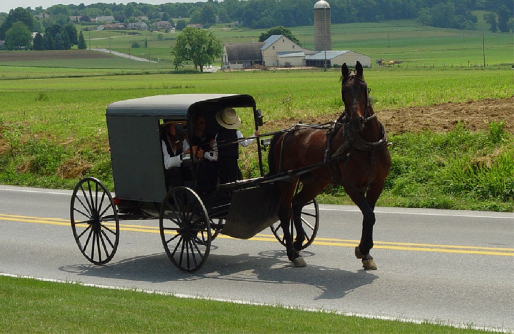 Religious Discrimination? Amish Man Sues for Right to Buy Gun Without ...