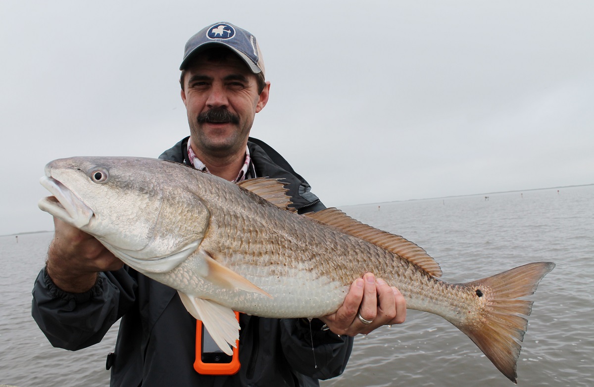 Redfish Slot Limit Louisiana