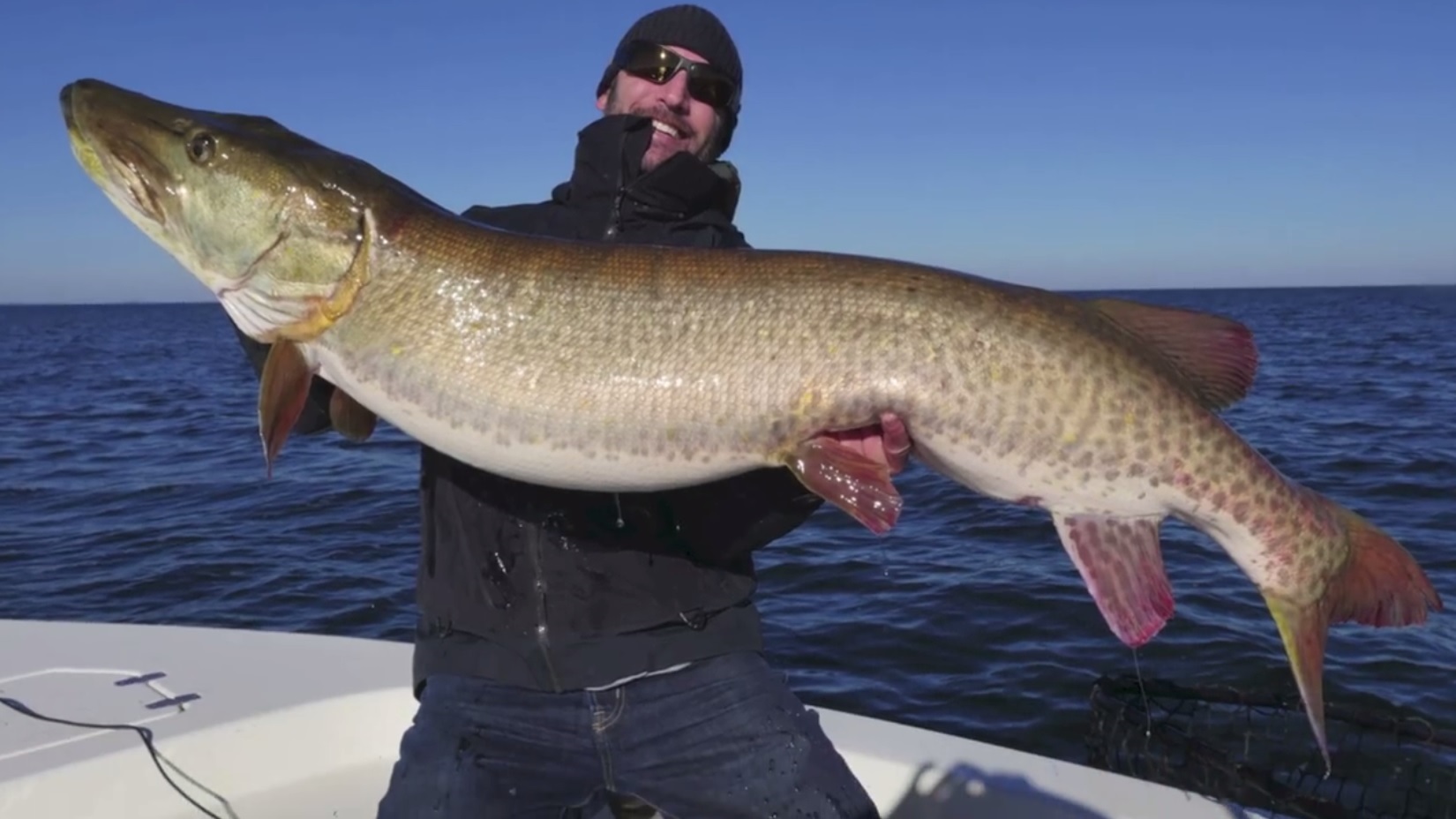 Minnesota Angler Catches Potential World Record Muskie Outdoorhub