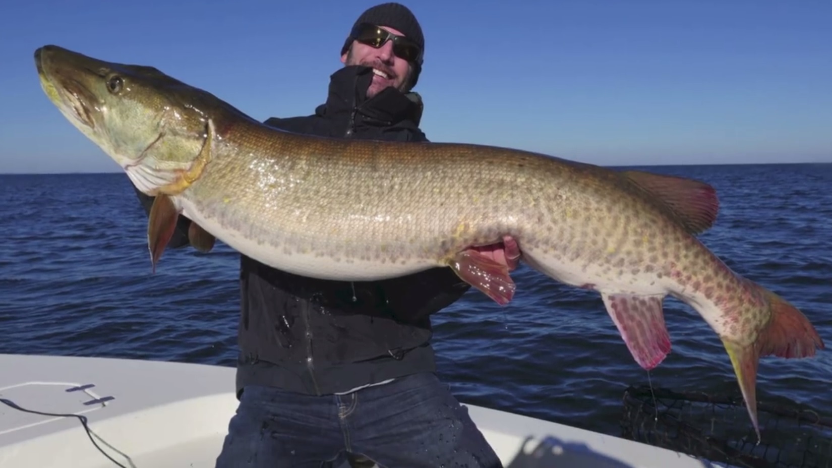 Minnesota Angler Catches Potential World Record Muskie | OutdoorHub