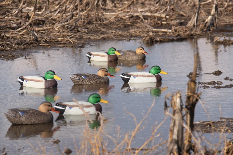 Cabela S Cabelas Northern Flight Sit Up Layout Blind Hunting Smallgamehuntingequip Waterfowldecoys Gear Calls Waterfowlblind Layout Blinds Cabelas Blinds