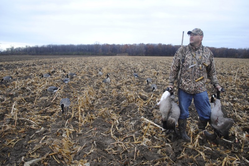 Avian X A Frame Blind Marsh Mutt Hunting Supplies