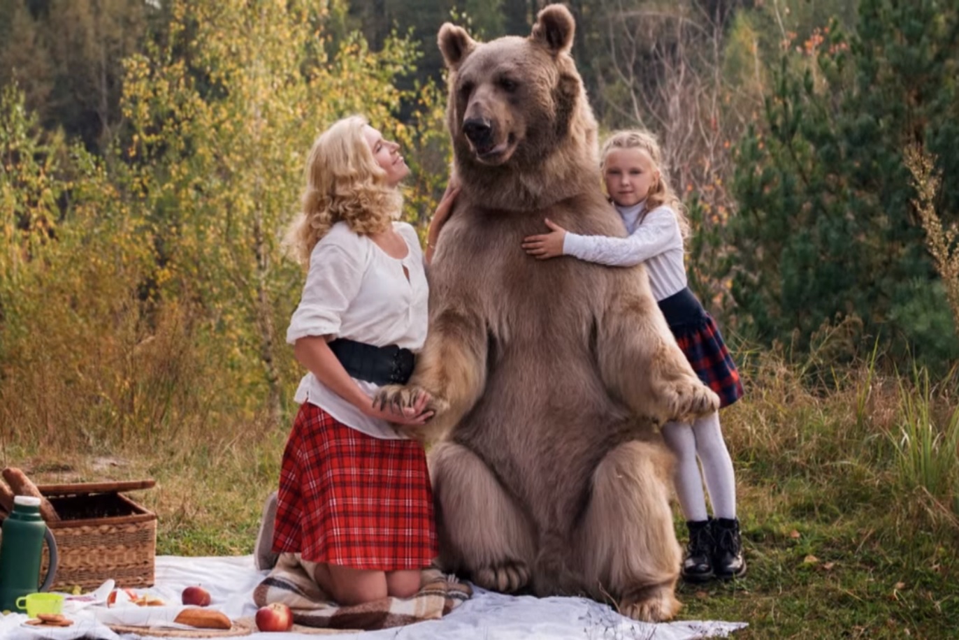 Video "Vegetarian" Brown Bear Joins Russian Picnic OutdoorHub