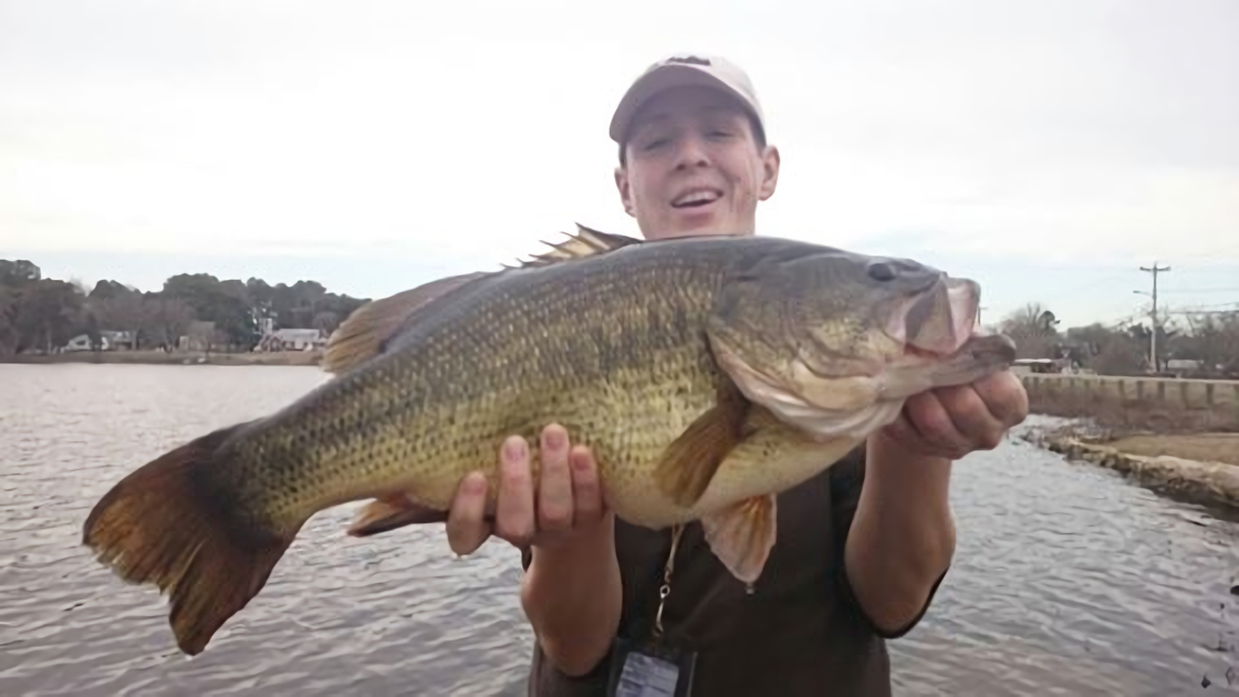 Delaware Angler Smashes State Record For Largemouth Bass OutdoorHub   Outdoorhub Delaware Angler Smashes State Record For Largemouth Bass 2016 02 24 20 43 35 