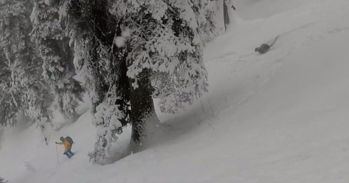 Video: Skiers Shocked by Snow Leopard in Their Path | OutdoorHub