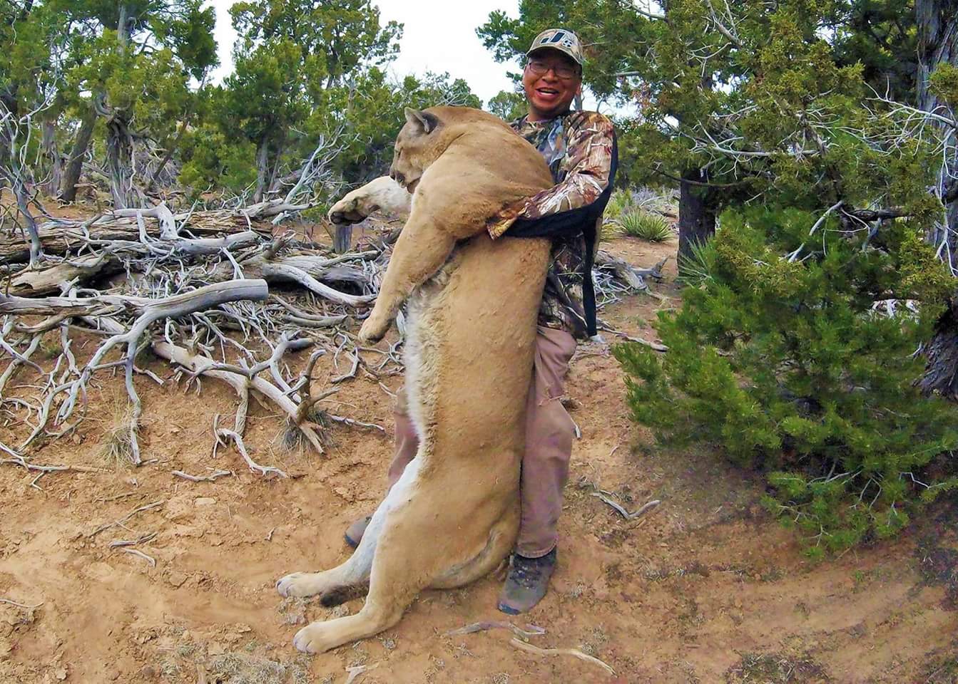 photos-shed-hunt-turns-into-massive-mountain-lion-harvest-outdoorhub