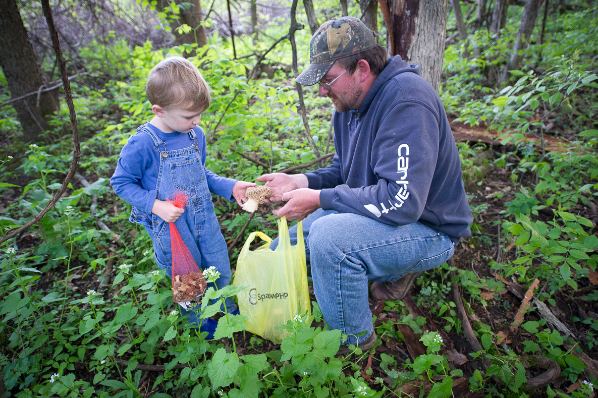 The Michigan DNR's Ultimate Tool For Morel Hunters | OutdoorHub