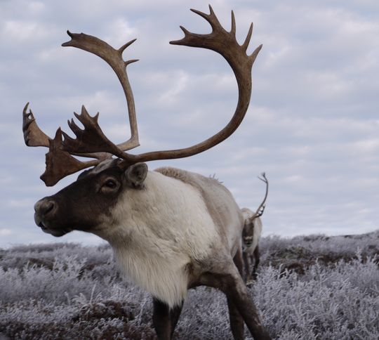 A Quebec Adventure: The Time Is Now | OutdoorHub