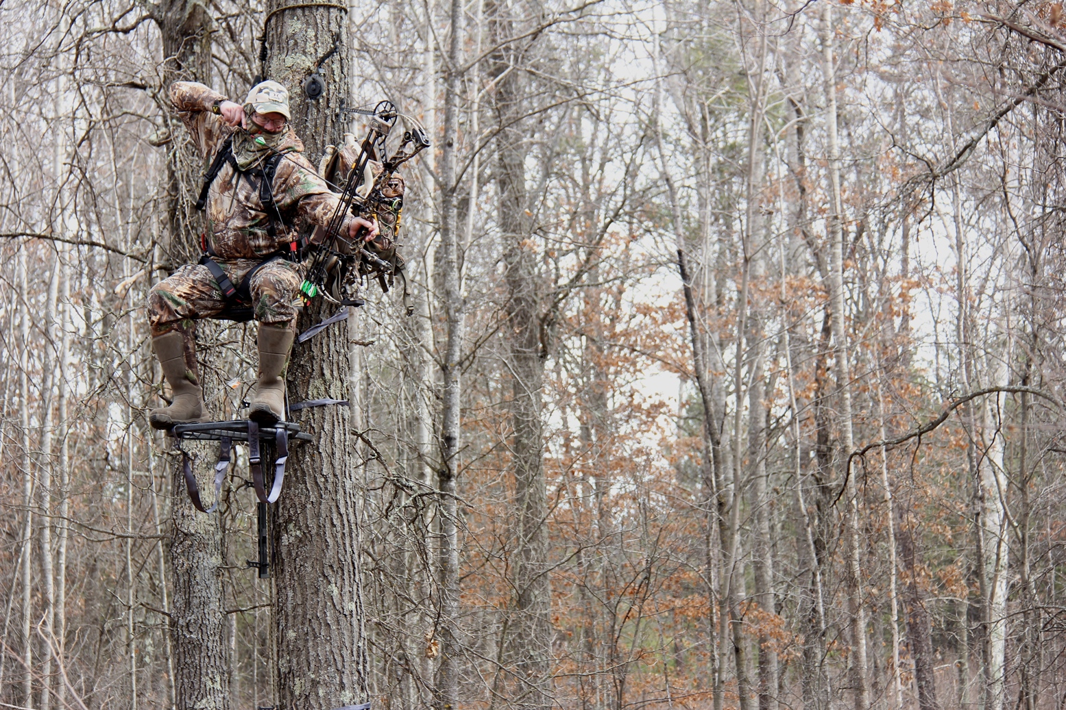 State Hunting Land Near You OutdoorHub