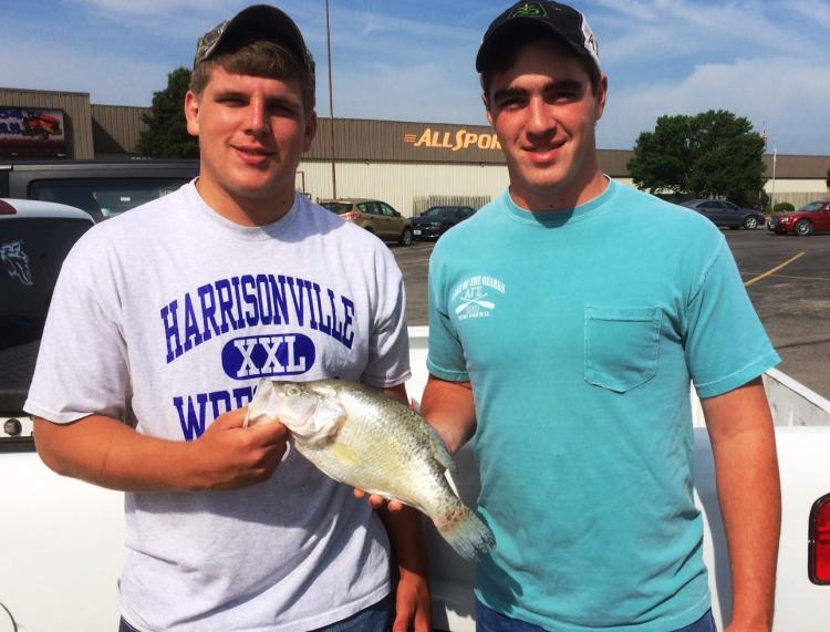 Missouri Angler Catches State Record White Crappie Outdoorhub