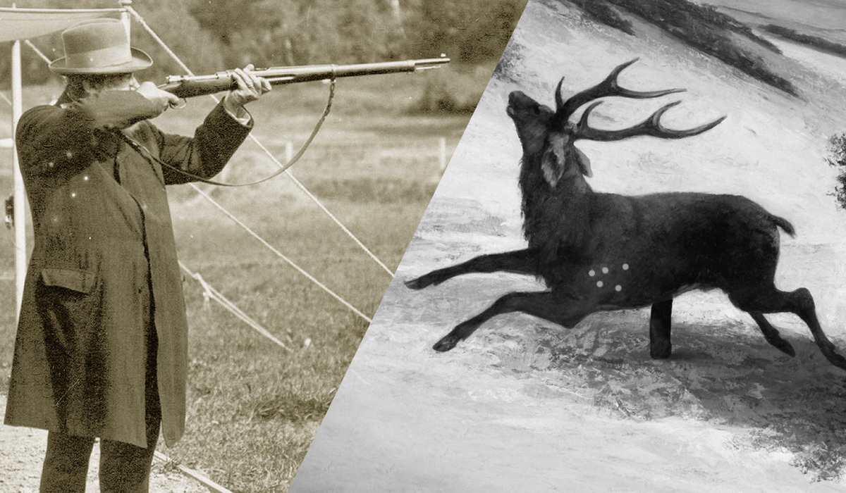 Did You Know that Shooting Running Deer Used to Be an Olympic Event