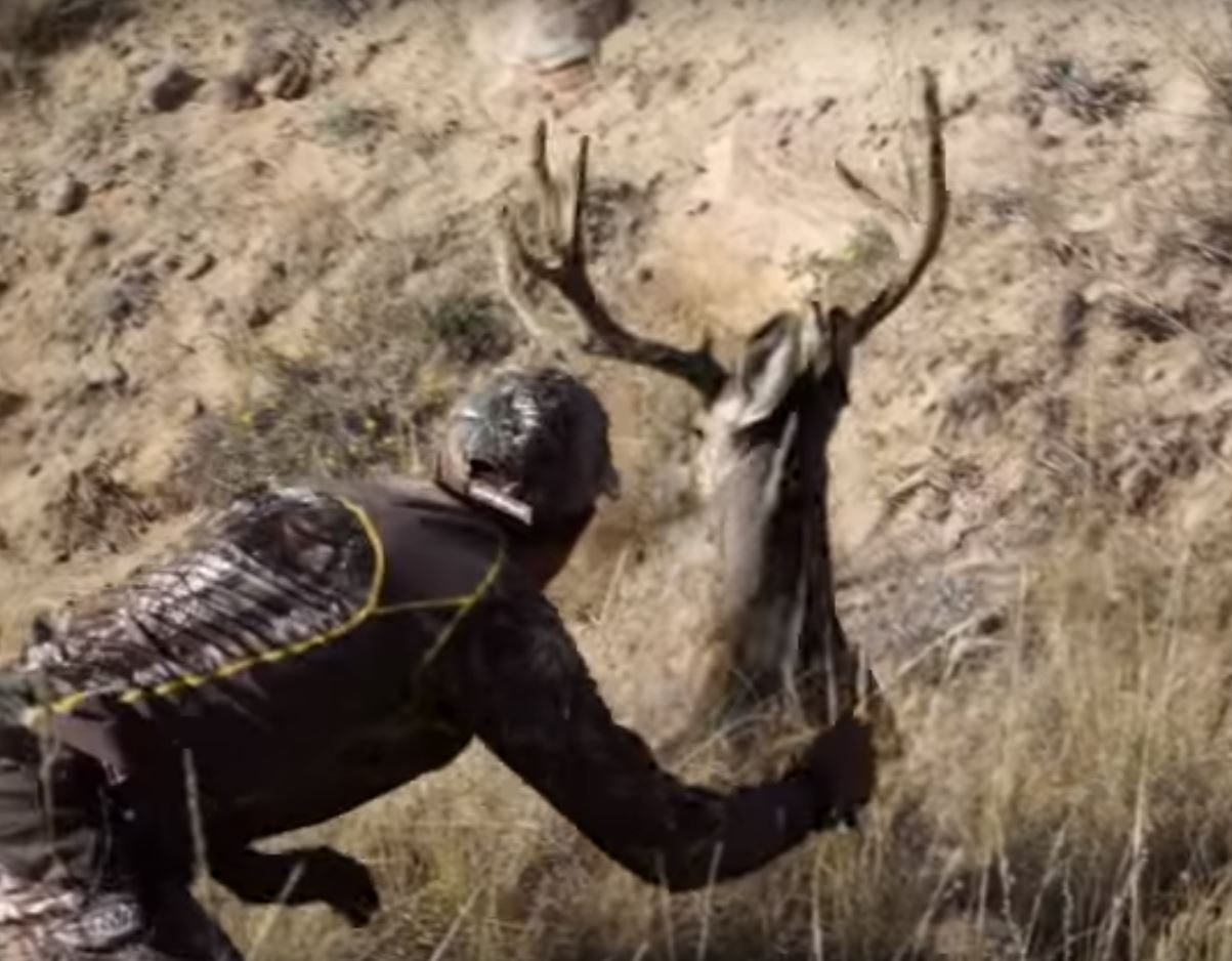 Video Sneaky Hunter Gives Deer a WakeUp Call OutdoorHub