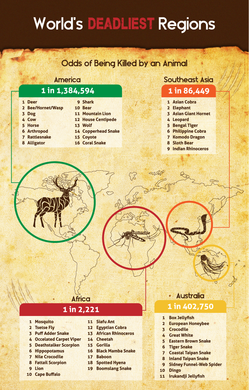 infographic-the-deadliest-animals-in-each-state-outdoorhub