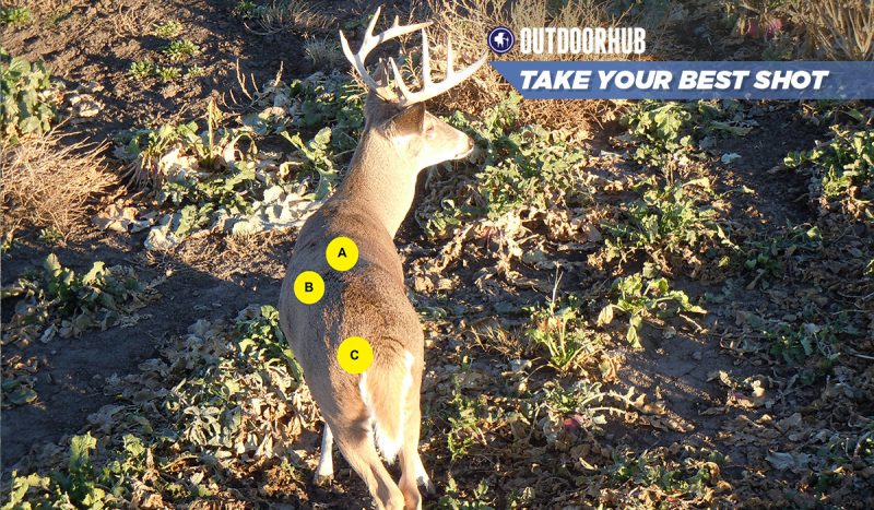 Tuesday’s Take Your Best Shot: Archery Whitetail | OutdoorHub