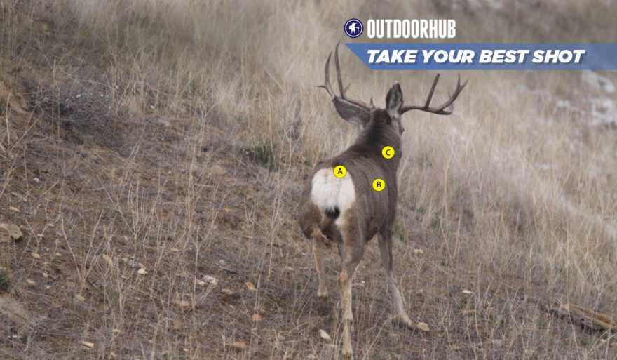 Tuesday’s Take Your Best Shot: Rifle Mule Deer | OutdoorHub